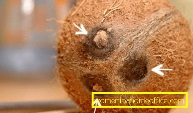 Come dividere e aprire una noce di cocco a casa?