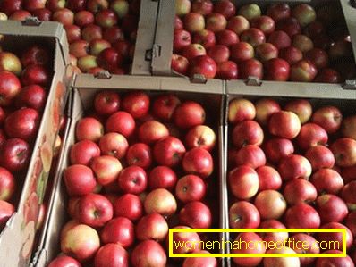 Come conservare le mele?