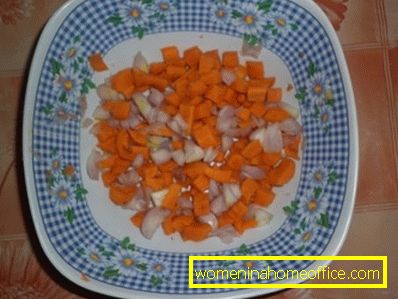 carota e cipolla